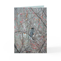 Robyn in Winter Greeting Cards