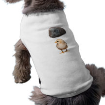 Rock + Chick Pet Tshirt