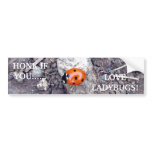 Rock Climber Ladybug Bumper Sticker bumper stickers