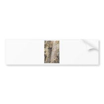 Rock Climber Near Aspen CO Bumper Stickers