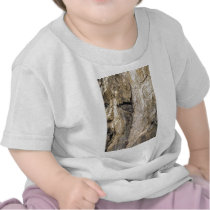 Rock Climber Near Aspen CO Shirts