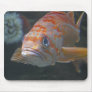 Rock Fish Mouse Pad