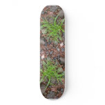 Rock Grass Skateboard