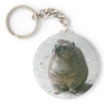 Rock Hyrax Key Chains