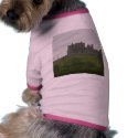 Rock Of Cashel Castles Ruins Ireland pet clothing
