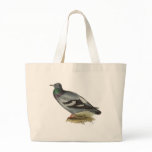 Rock Pigeon bags