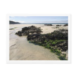 Rock Pools postcards