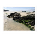 Rock Pools Postcards