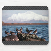 Rock Sandpipers at Rocky Shoreline Mousepad