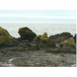 Rock Shore On Cost Photo Cut Out