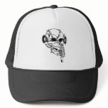 Rock Skull hats