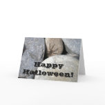 Rock Spider Greeting Card