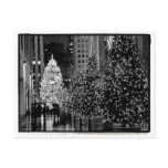 Rockefeller Centre Christmas Tree Postcard