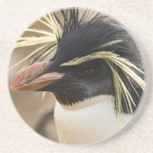 Rockhopper Penguin Coaster