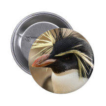 Rockhopper Penguin  Pin