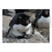 Rockhopper Penguin with Chicks Card