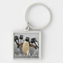 Rockhopper Penguins Key Chain