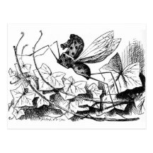 Rocking-horse-fly Post Card