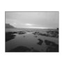 Rockpools At Goat Island Postcards