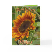 Rockport Rusty Red Sunflower