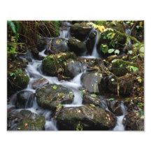 Rocks along the Lewis River Photograph