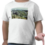 Rocks at L'Estaque, 1879-82 Tees