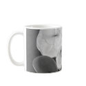 Rocks mugs