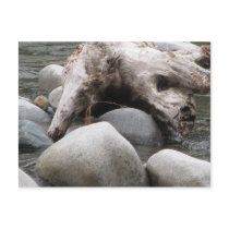 Rocks On Riverbank Post Card