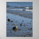 Rocks on the Beach Print