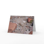 Rocky Cards