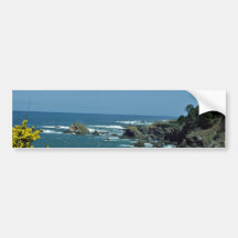Rocky Coast Through Yellow Flowers flowers Bumper Sticker
