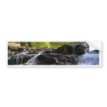 Rocky Falls From The Bottom Bumper Stickers