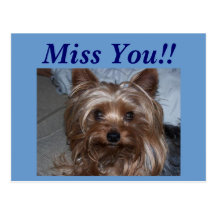 Rocky "Miss You!!" Post Cards