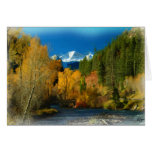 ROCKY MNT FALL CARD