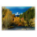 ROCKY MNT FALL CARD