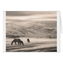 Rocky Mountain Colorado Longs Peak Country Morning Cards