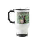 Rocky Mountain Elk Mugs