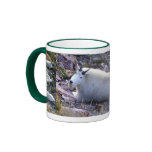 Rocky mountain goat coffee mug