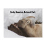Rocky Mountain National Park Postcard