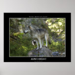 ROCKY MOUNTAIN WOLVES Poster posters