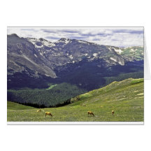 Rocky Mtn NP CO Card