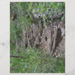 Rocky pathway in forest custom flyer