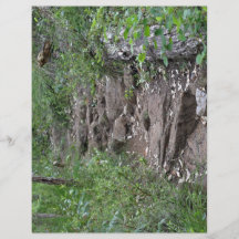 Rocky pathway in forest custom flyer