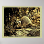 ROCKY RACCOON SITTING ON A TREE PRINT