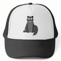 Rocky Racoon