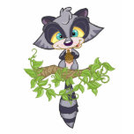 rocky racoon t-shirts