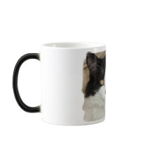 Rod Blagojevich Humour Coffee Mugs