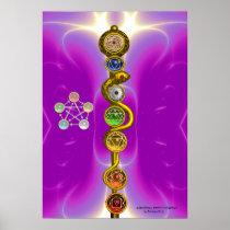 ROD OF ASCLEPIUS WITH 7 CHAKRAS ,SPIRITUAL ENERGY POSTERS