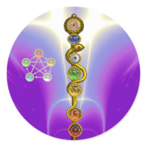 ROD OF ASCLEPIUS WITH 7 CHAKRAS ,SPIRITUAL ENERGY ROUND STICKER