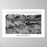 Rodeo, New Mexico posters